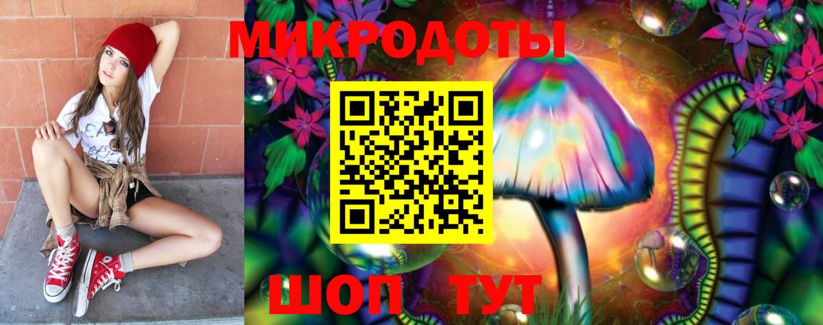 Галлюциногенные грибы прущие грибы Волоколамск